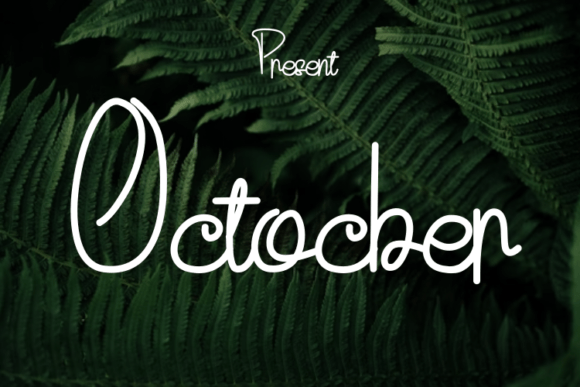 An Honest Designer’s Look at Octocber: Is It Your Next Workhorse Script?