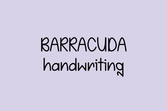 Barracuda Font: Creating Friendly and Quirky Digital Connections