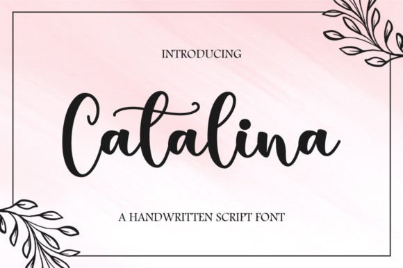 Catalina Font Review for Web Designers