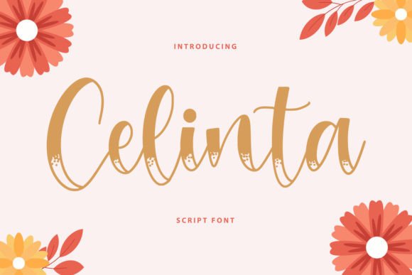 Celinta: An Elegant Font for Building a Trustworthy Brand